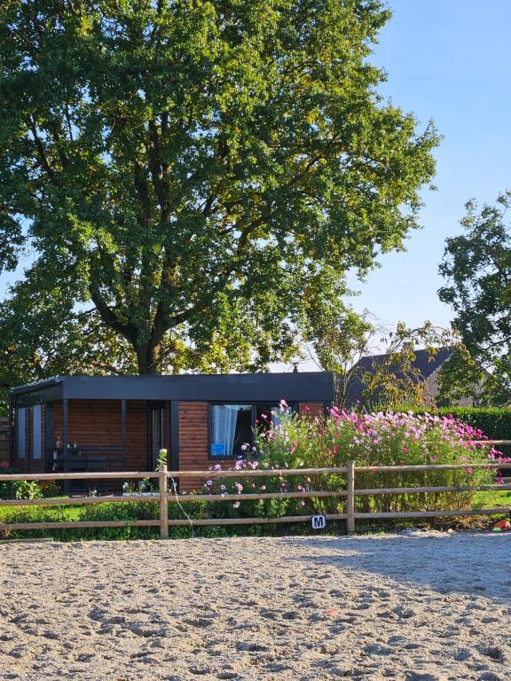 ein winziges Haus in einem Garten mit einem Baum in der Unterkunft Houten huisje tussen paarden in Nieuwerkerken