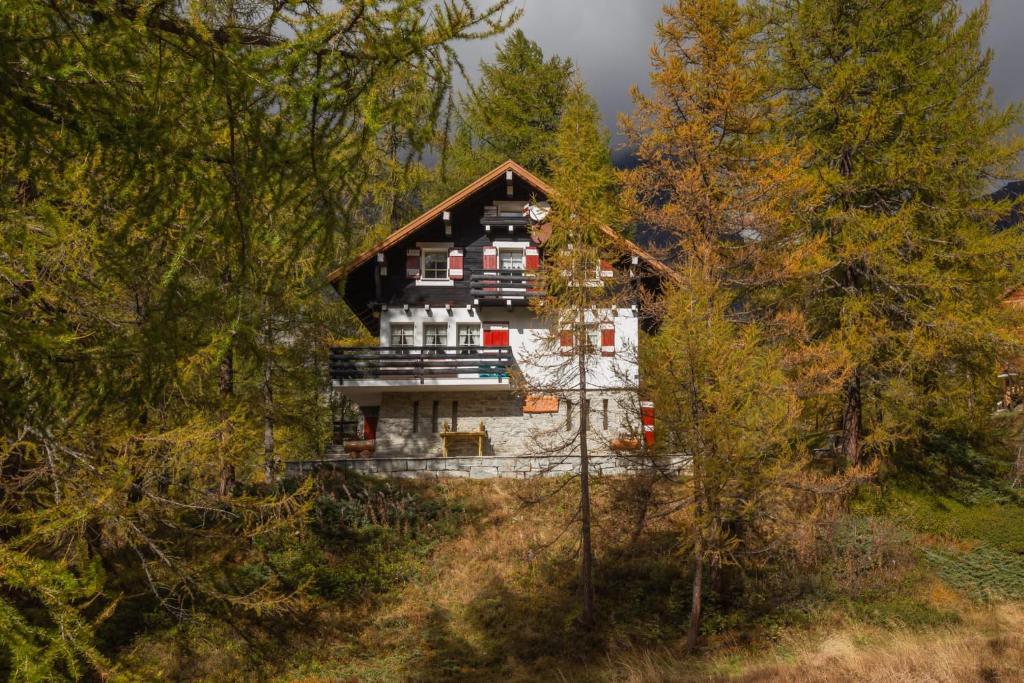 uma vista aérea de uma casa na floresta em I Larici - Appartamento per sognare em Alpe Devero
