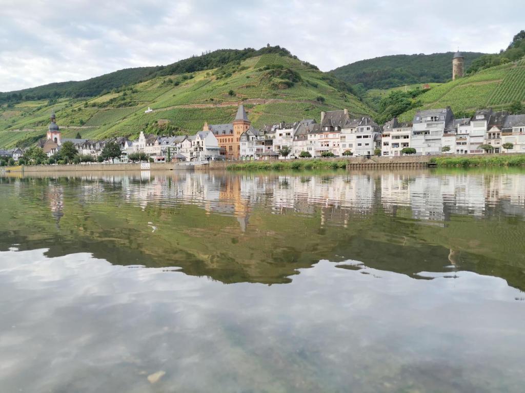 Mosel View Old Town Apartments - 两居室公寓