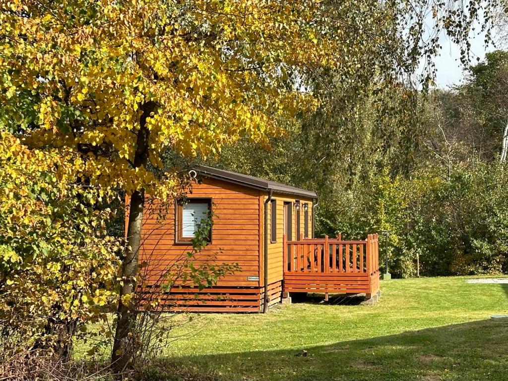 索利納的住宿－Bungalow Camping Jacuzzi & Sauna，草上的小小屋,有树