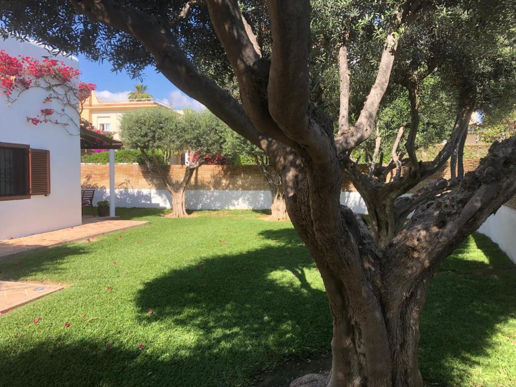 a tree in a yard with a green lawn at Chalet individual con jardín en Puerto Rey, Vera in Los Amarguillos