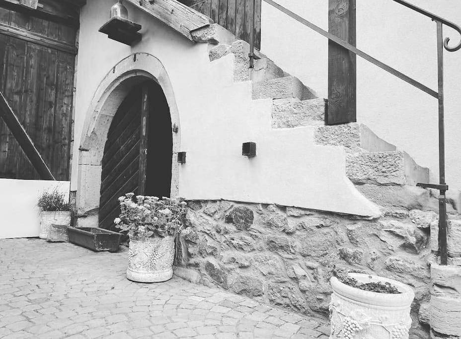 Fotografie z fotogalerie ubytování Gîte Origin Gueberschwihr v destinaci Gueberschwihr