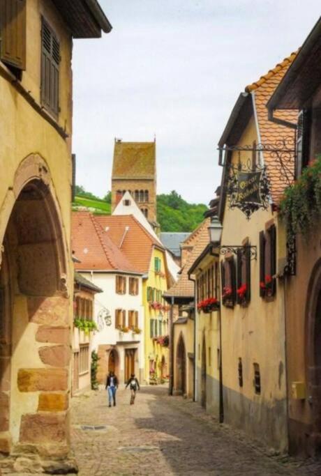 Fotografie z fotogalerie ubytování Gîte Origin Gueberschwihr v destinaci Gueberschwihr