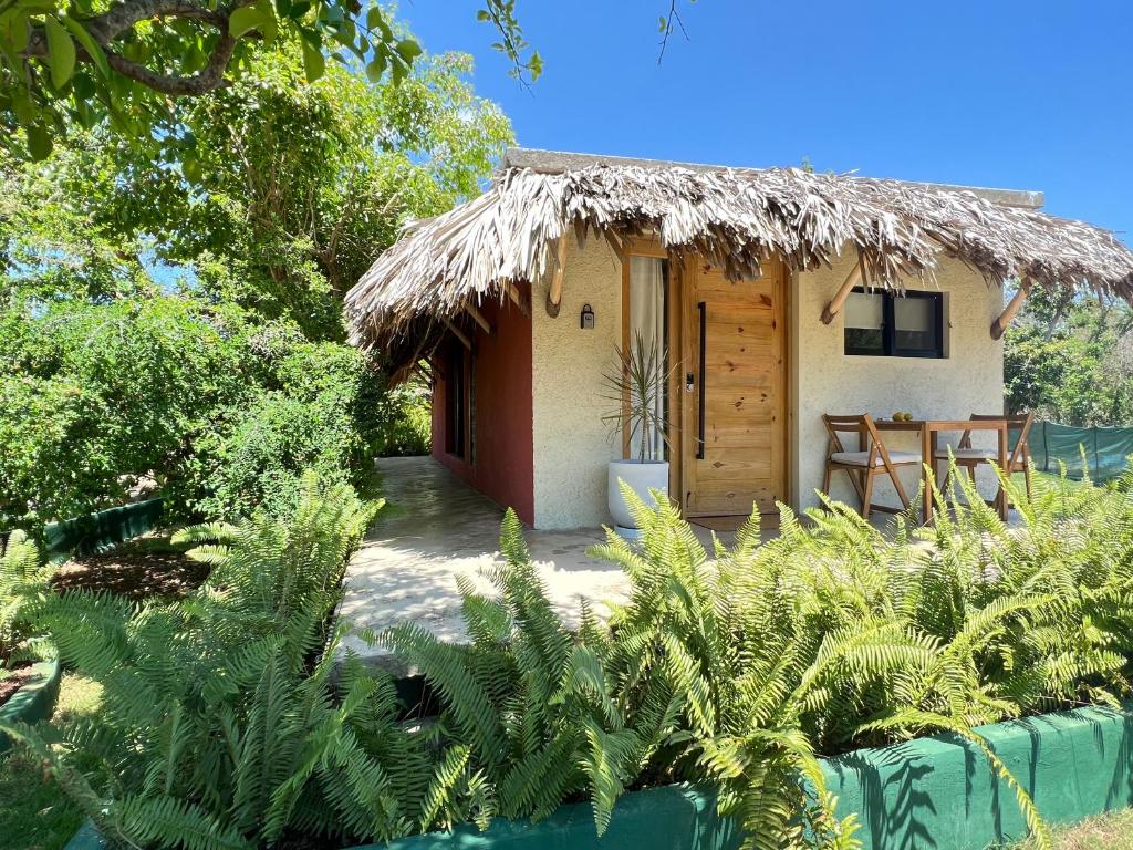 Cabaña pequeña con techo de hierba en CASAS LEON Casita de playa #2 en Santa Bárbara de Samaná