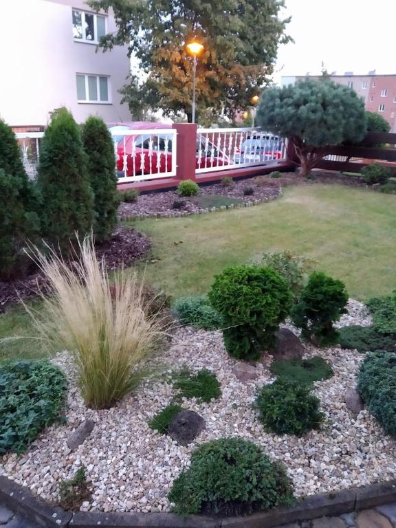 Zahrada ubytování Apartment Krnov