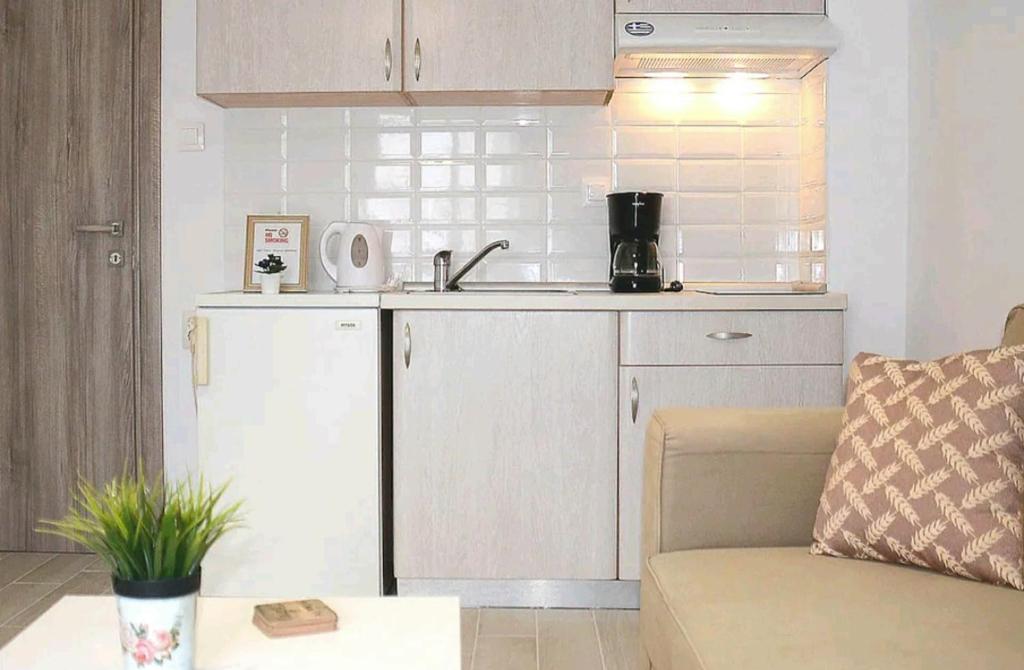 een woonkamer met een bank en een keuken bij Center River Apartment in Florina