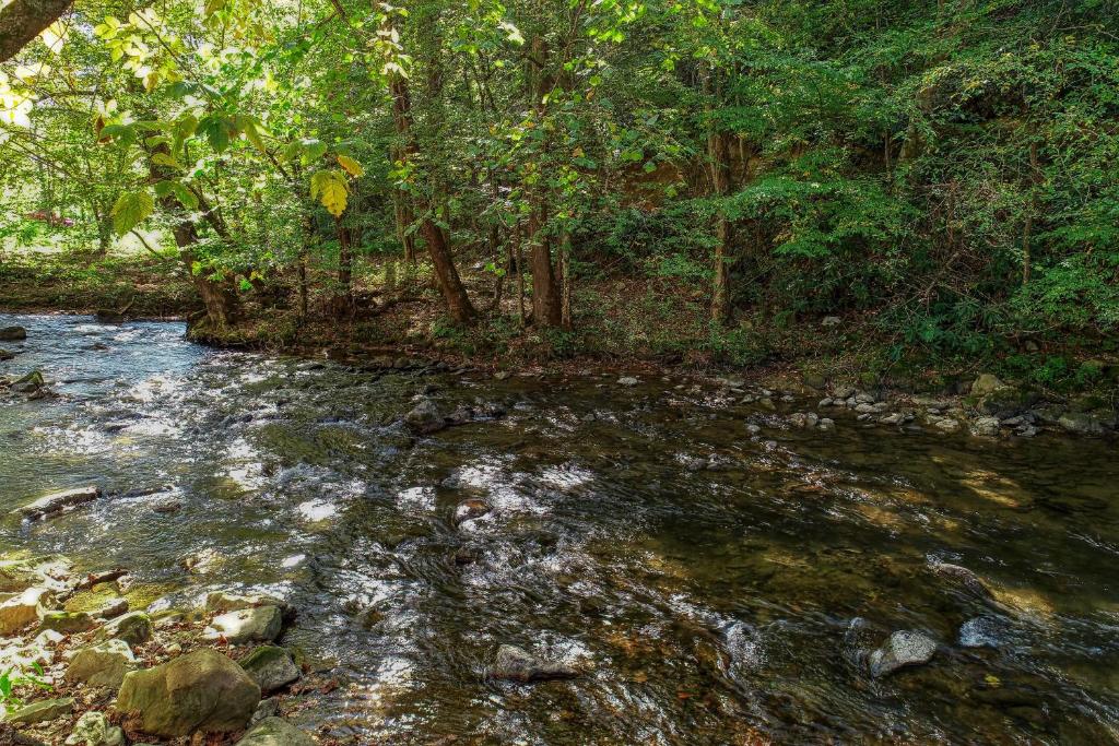 a stream of water with rocks and trees at Whispering Creek Cabin in Cosby