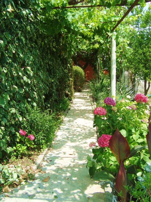 Apartments Rolovina - Апартаменты-студио