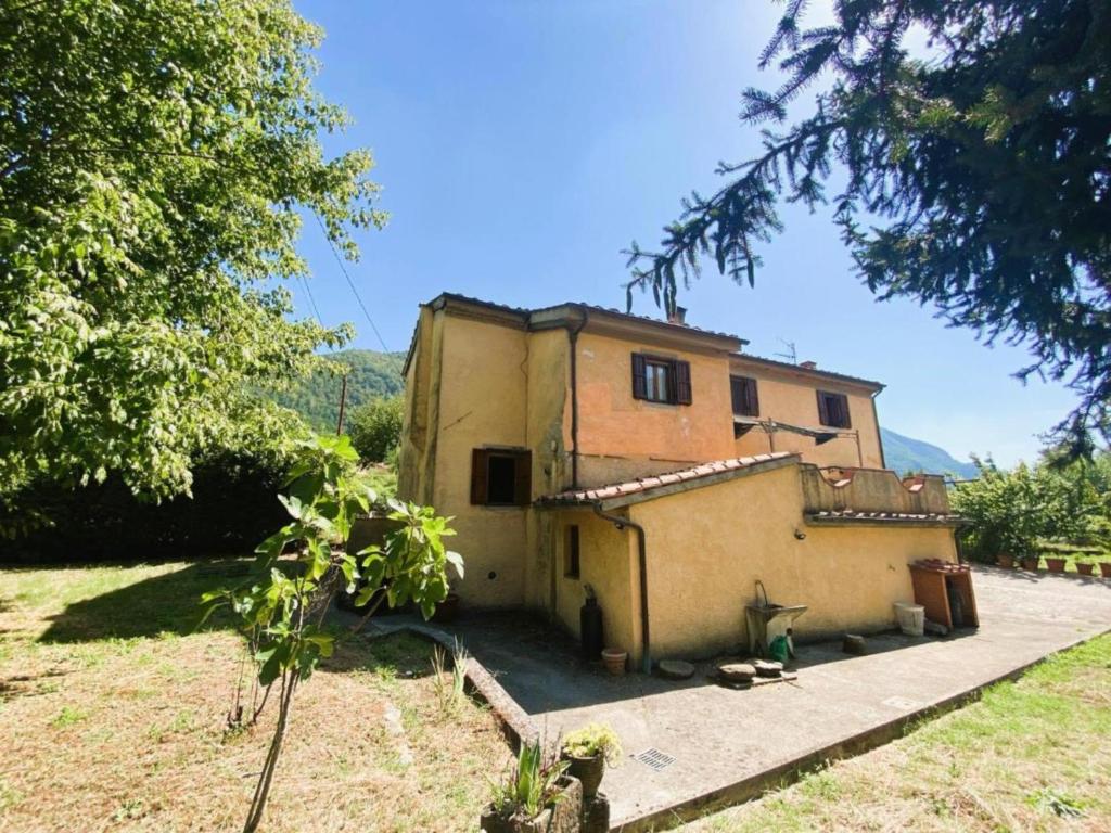 uma pequena casa no meio de um campo em La casa del Mike em Borgo a Mozzano