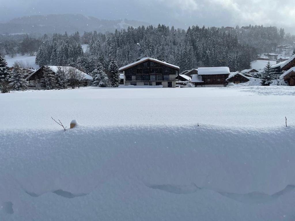 a yard covered in snow with a house in the background at Chalet Esquinade 4 bedrooms appartment Megève in Megève