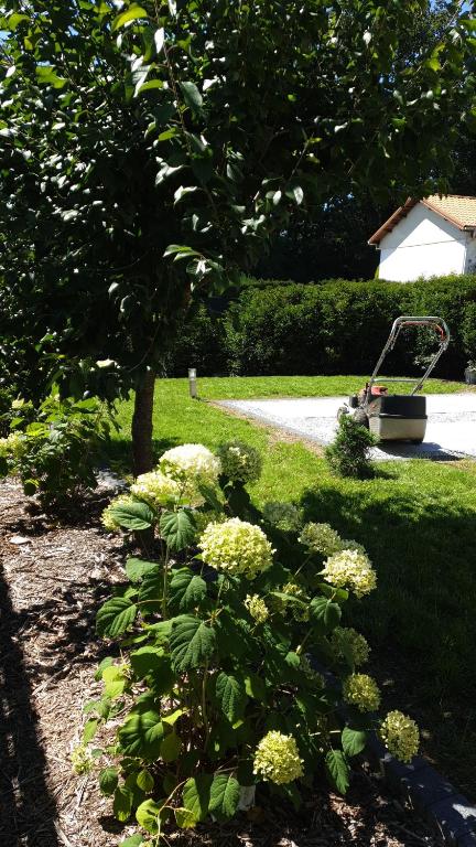 Zahrada ubytování Le Gîte du Fort