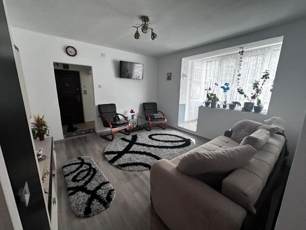 ein Wohnzimmer mit einem Sofa und einem Teppich in der Unterkunft Cășu Home in Lupeni