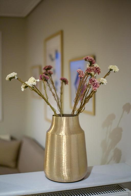 House Apartment Anna Maria - 2