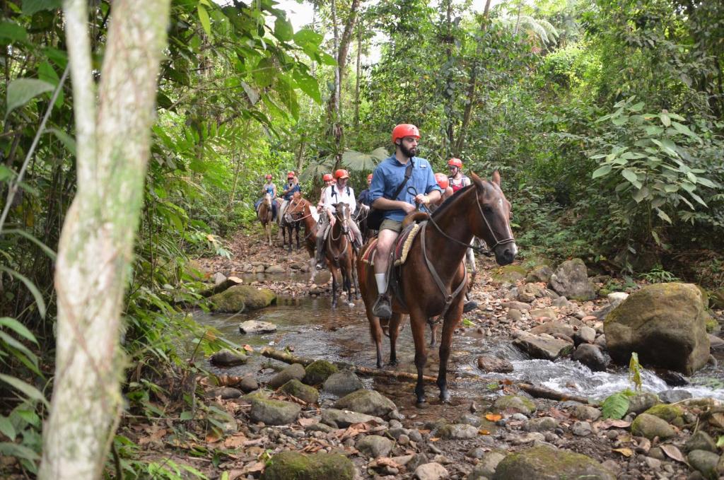 Hotel Villa Fortuna, Volcan Arenal, Costa Rica. في فورتونا: مجموعة من الأشخاص يركبون الخيول عبر النهر