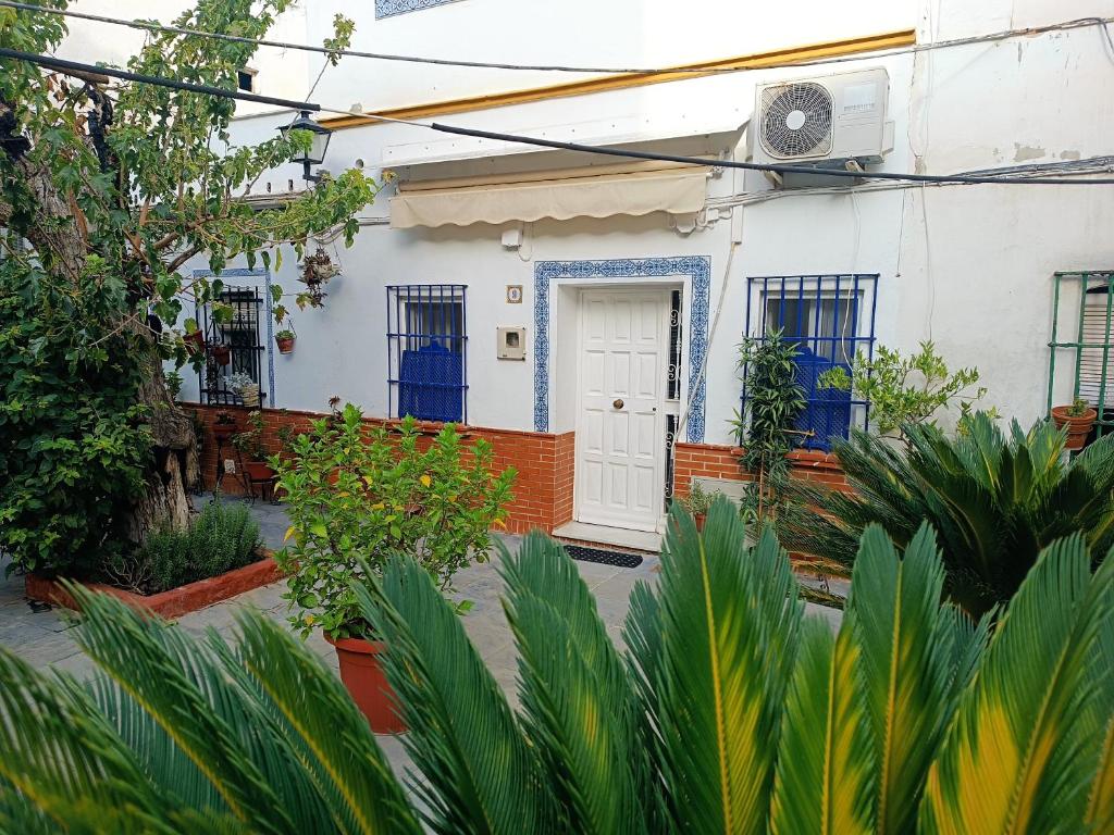 una casa blanca con una puerta blanca y algunas plantas en Típico y pintoresco patio de vecinos, con encanto, en Sevilla