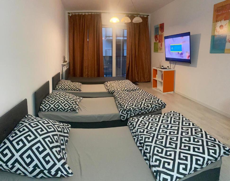 Pokój z 3 łóżkami i telewizorem w obiekcie Pokoje pracownicze 2 sypialnie w Tomaszowie Mazowieckim