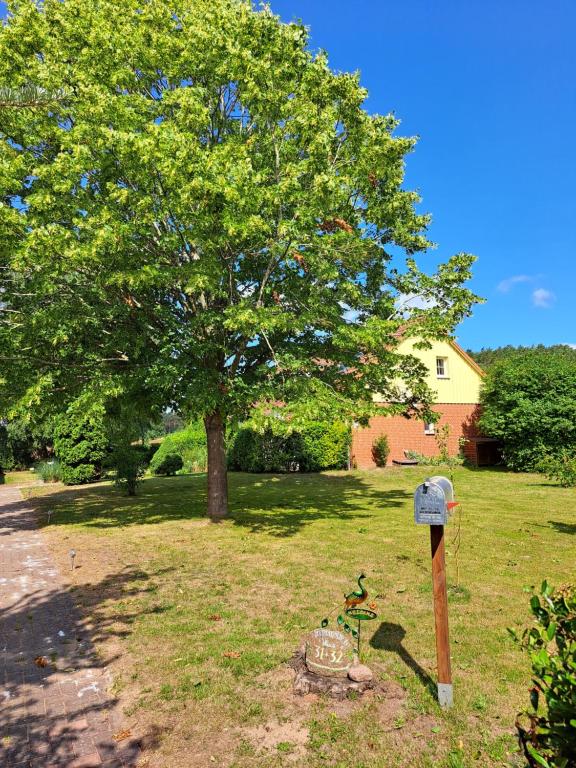 Κήπος έξω από το Achterwasser32