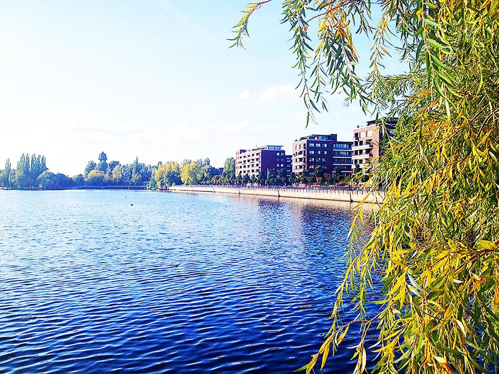 vista su un fiume con edifici sullo sfondo di Apartments Rummelsburger Bucht am Ostkreuz a Berlino