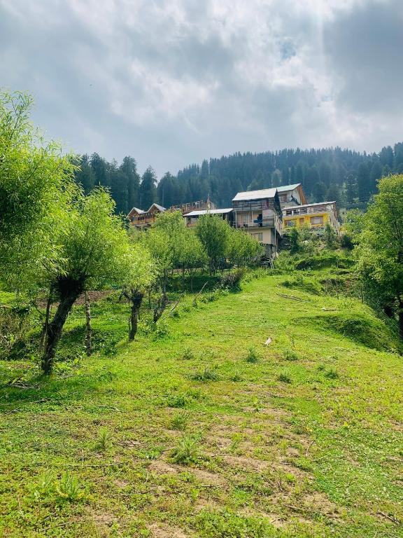 un campo alberato e case su una collina di The Ivy House Sethan a Manāli