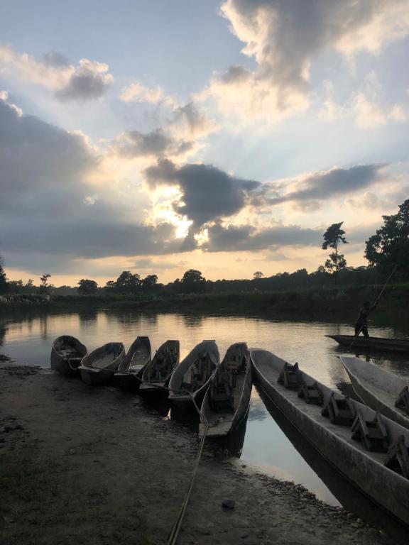 a group of boats on the shore of a river at Hotel Tharu Garden And Beer Bar in Chitwan