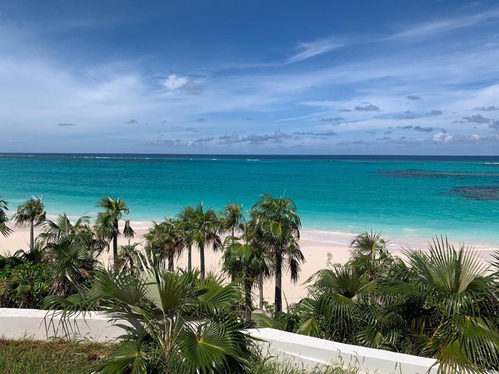 a view of a beach with palm trees and the ocean at Pink Sands Point estate in Governorʼs Harbour