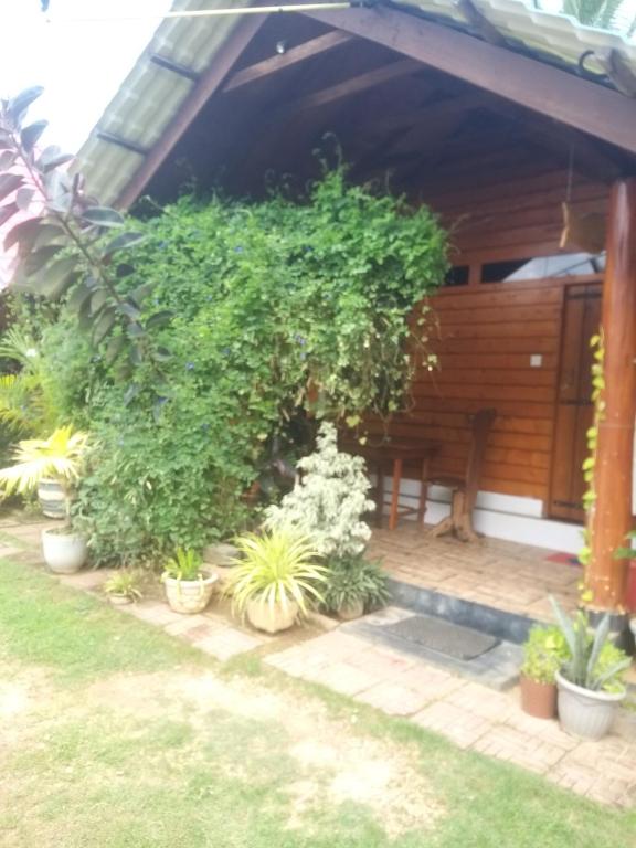 Zahrada ubytování DOT BEY beach cabana