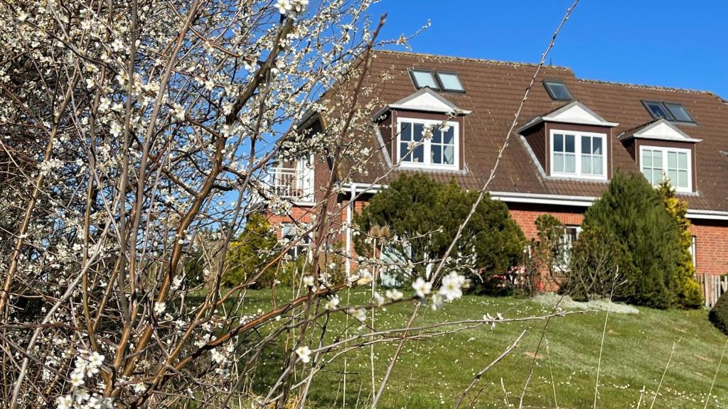 Zahrada ubytování Haus Jenny Wohnung H 4a
