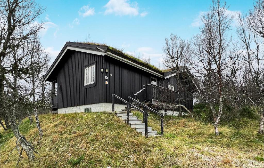 a black house with a grass roof on a hill at Nice Home In Venabygd With Wifi in Venabygd