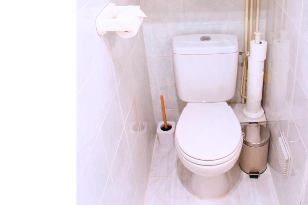 a bathroom with a white toilet in a room at Un cocon face à la mer in Plérin