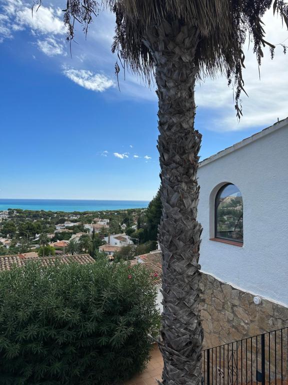 a palm tree in front of a white building at Casa Moya Moraira - Seaview Villa in Teulada