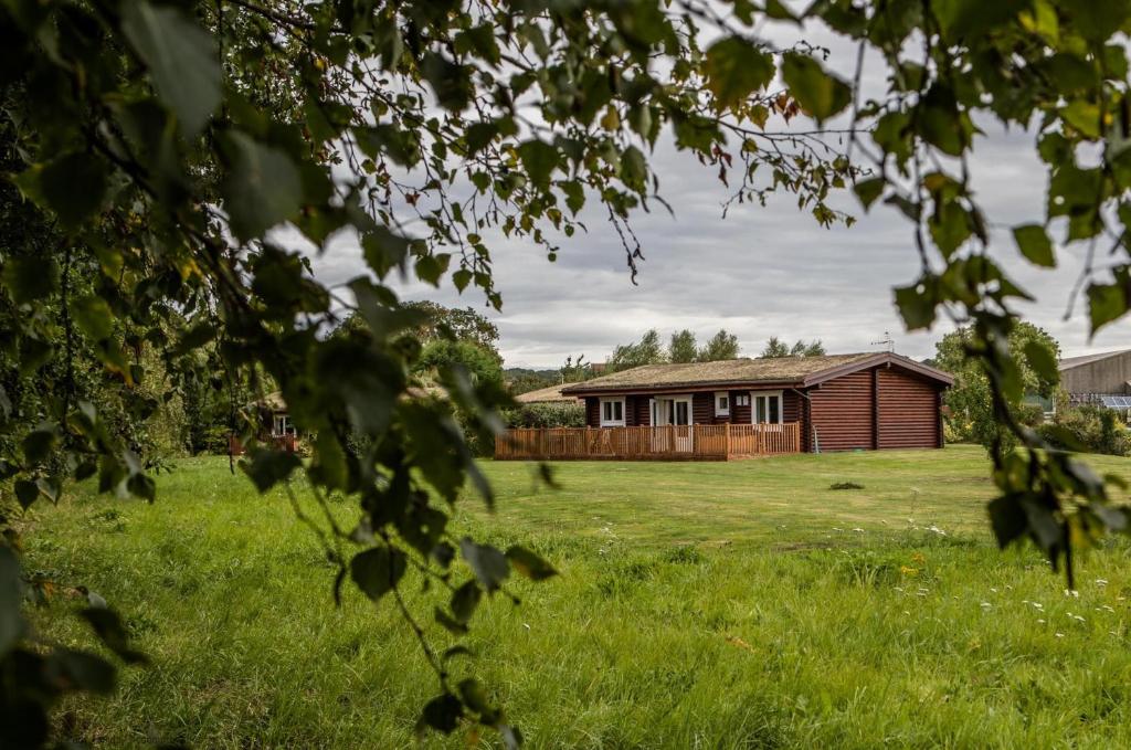 a house in the middle of a grassy field at Quail Lodge - Nordic Log Cabin in Selby