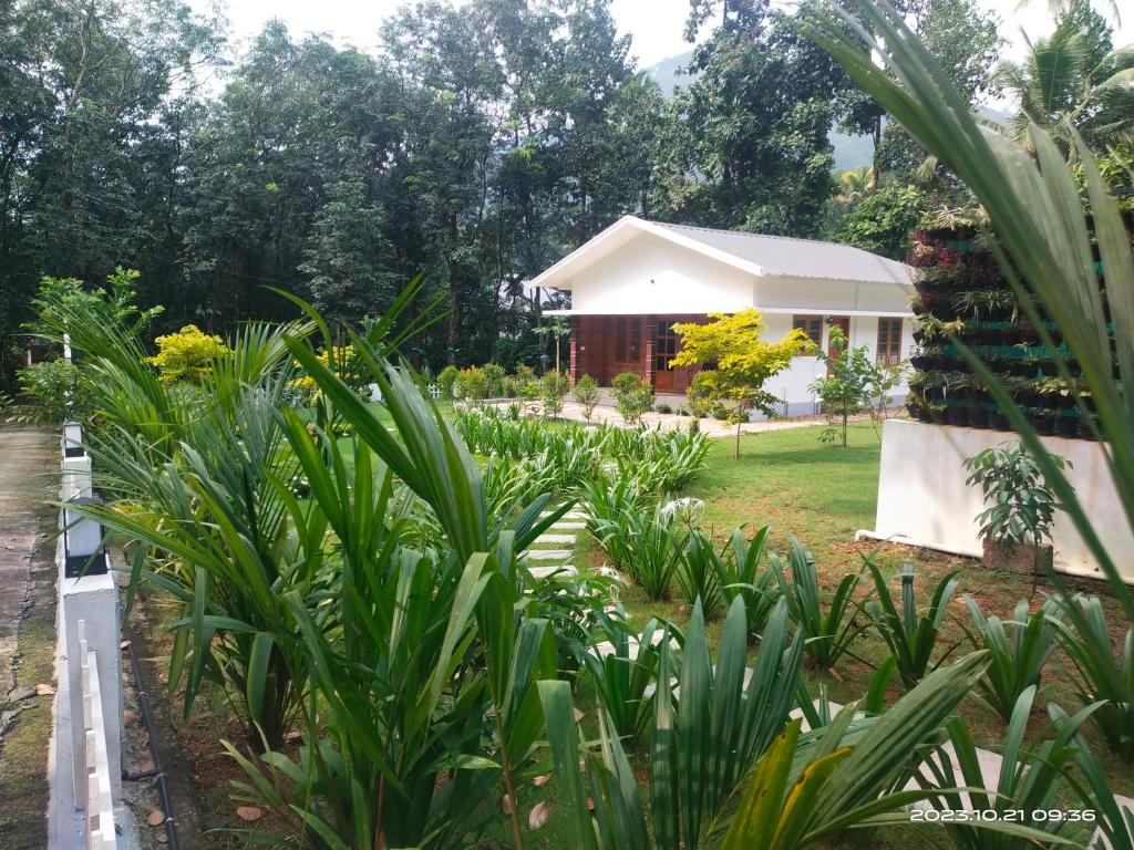 un giardino con una casa sullo sfondo di Family Cottage at Merlys Fruit Garden, Thattekkad a Kotamangalam