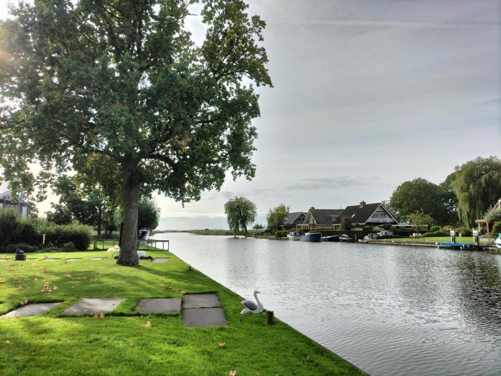 um pato sentado na relva ao lado de um lago em Havenkantoortje em Woudsend
