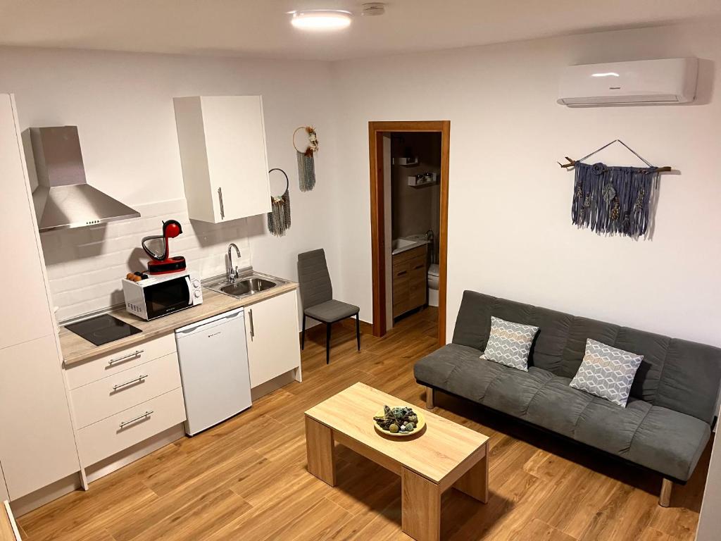 ein kleines Wohnzimmer mit einem Sofa und einer Küche in der Unterkunft Apartamentos EL PELIGRO 1 El CONJURO in Archidona