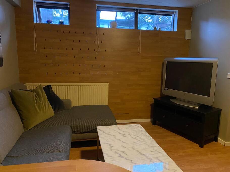 TV a/nebo společenská místnost v ubytování A cozy One-Bedroom basement apartment in RVK suburbs