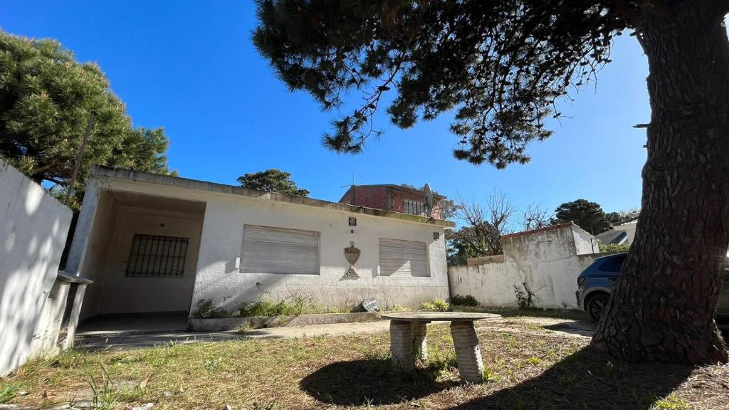 een bankje voor een huis met een boom bij Il Giardino de Santa in Santa Teresita