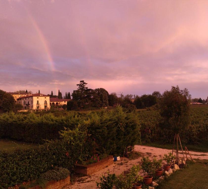 Agriturismo Ponte Florio - 15