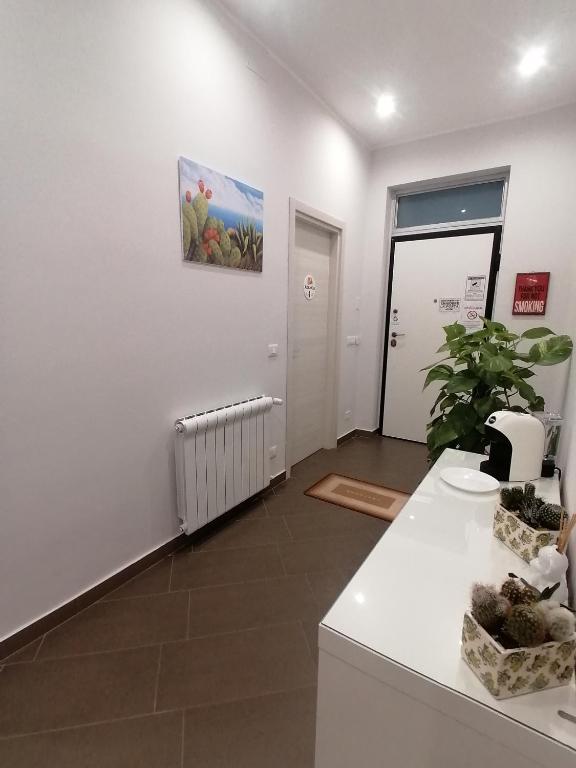 a room with a counter with a plant on the wall at B&B Villa Agrumé in Messina
