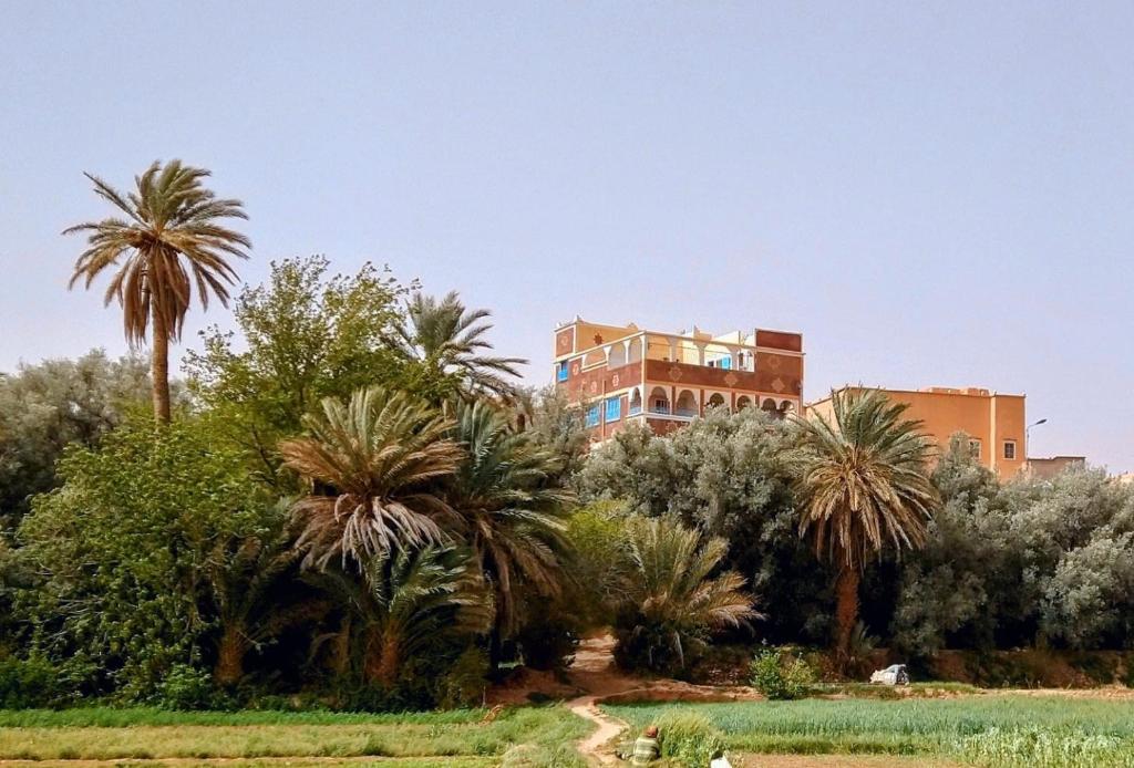 un gran edificio con palmeras delante en MAISON D'HOTES IRIKI, en Tinerhir
