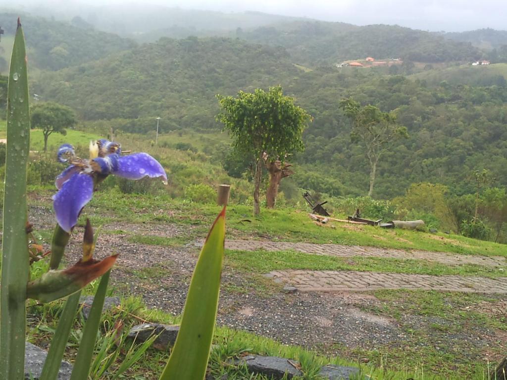  Chalés Samadhi