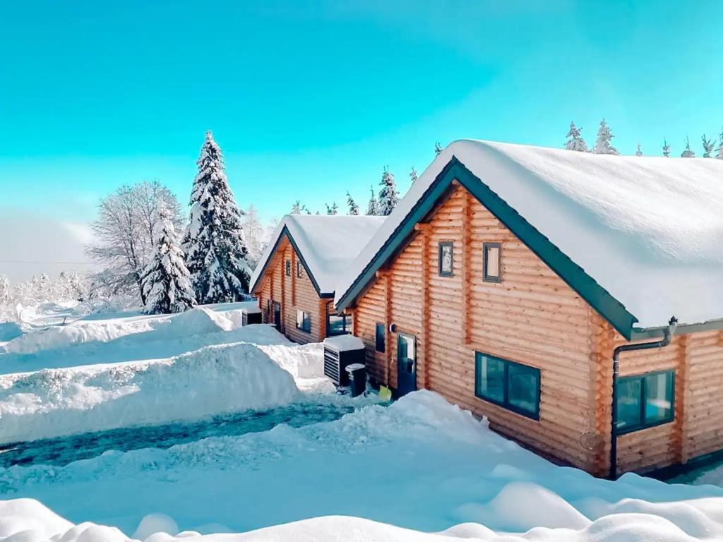 Pur Natur! Wandern und Skifahren - Trahütti Premium Lodges v zimě