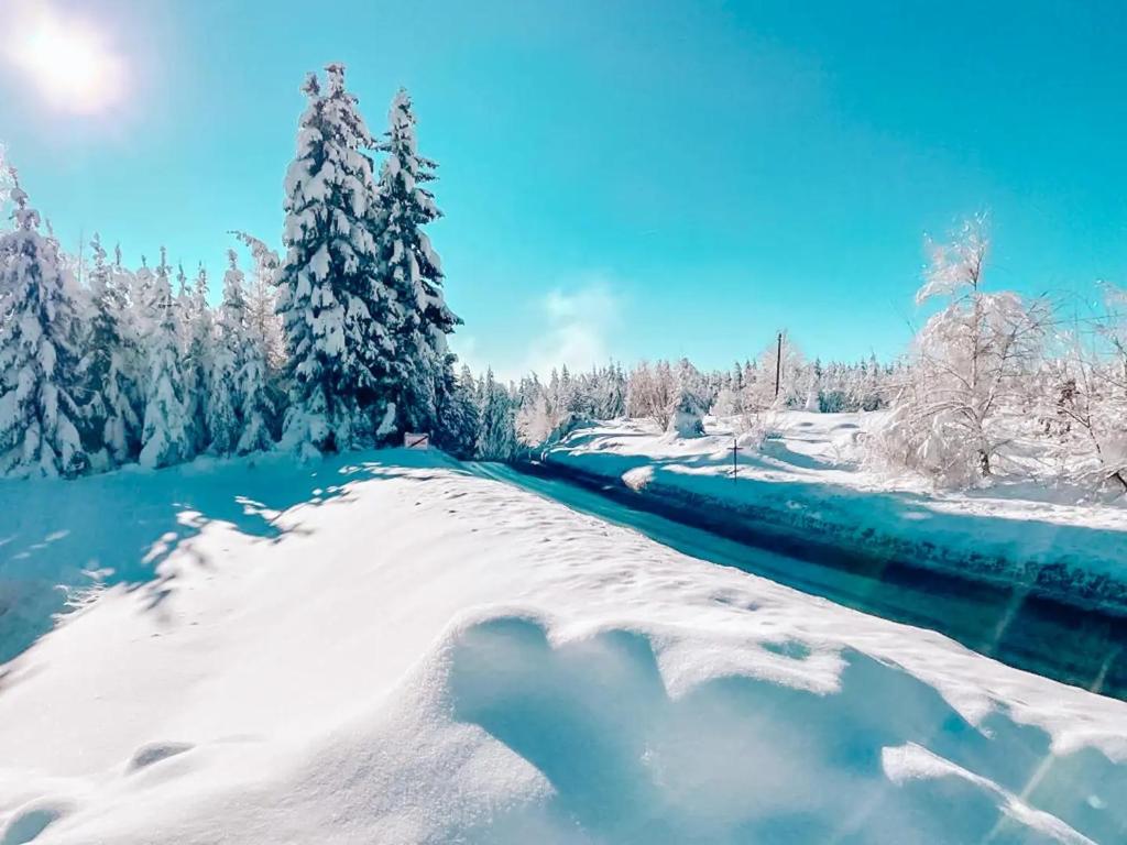 Pur Natur! Wandern und Skifahren - Trahütti Premium Lodges v zimě