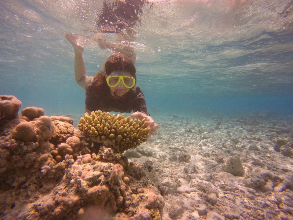 Hosté ubytování Kaafu Inn Guraidhoo