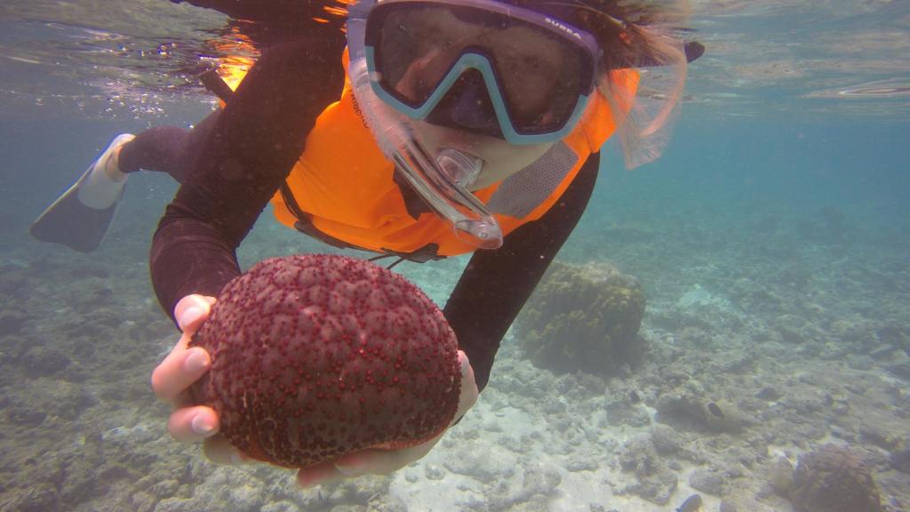 Hosté ubytování Kaafu Inn Guraidhoo