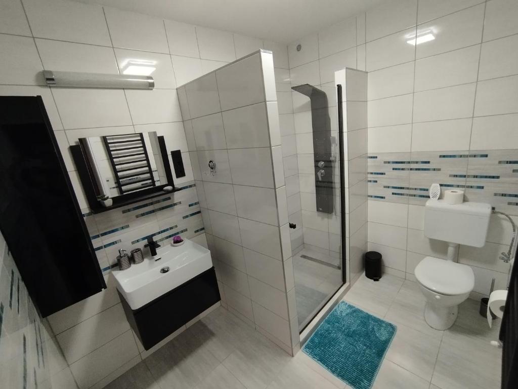 Moonlight Apartman في ساروسباتاك: حمام مع دش ومغسلة ومرحاض