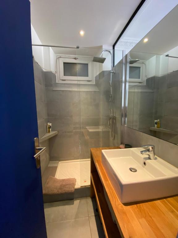 ein Bad mit einem Waschbecken und einer Dusche in der Unterkunft Appartement à 50m de Paris in Clichy
