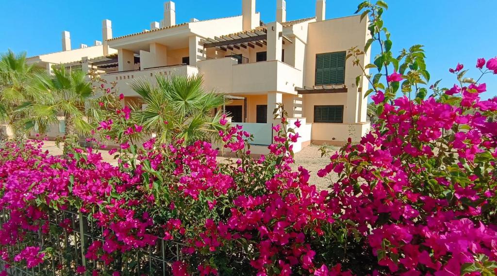 una casa con flores rosas delante de ella en Casa Rust en Ruimte, en Murcia