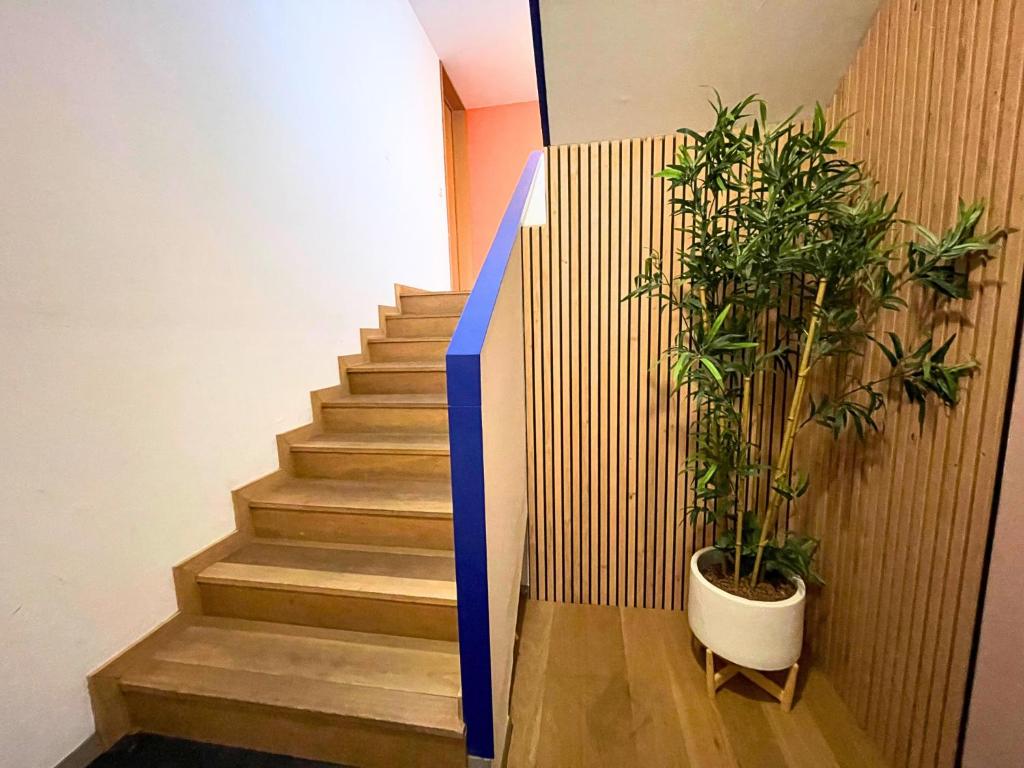a staircase with a potted plant next to a stair case at *Le Royal*Havre De Paix*Wifi* in Marseille