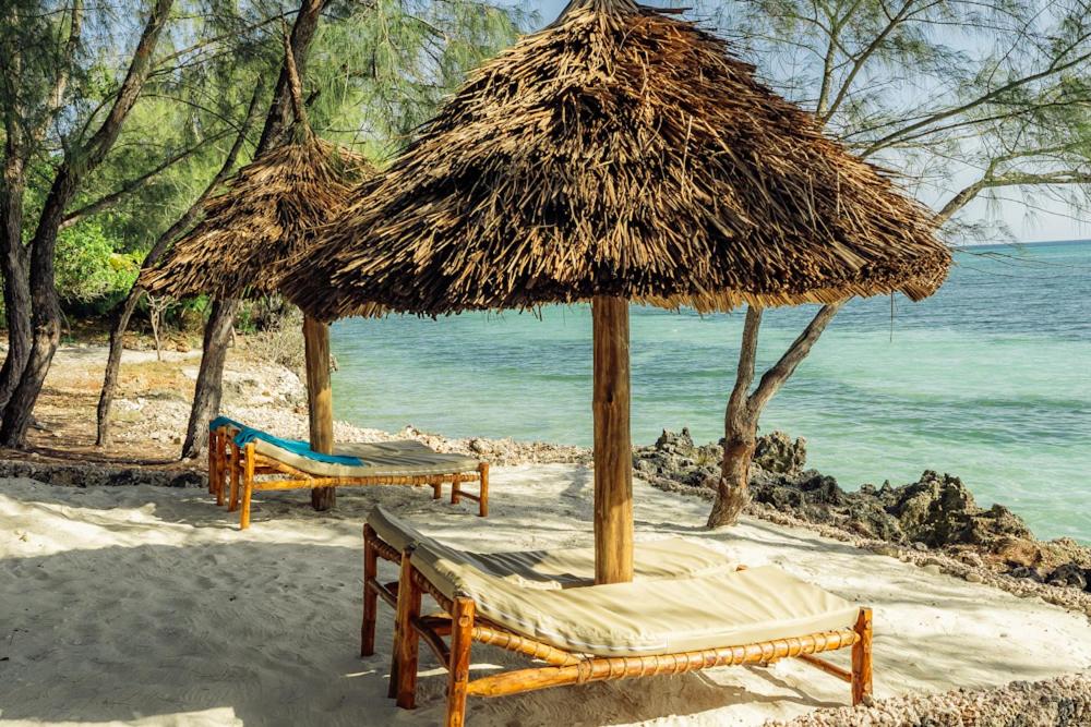 una playa con 2 sillas y una sombrilla de paja en Salida Beach, en Kizimkazi