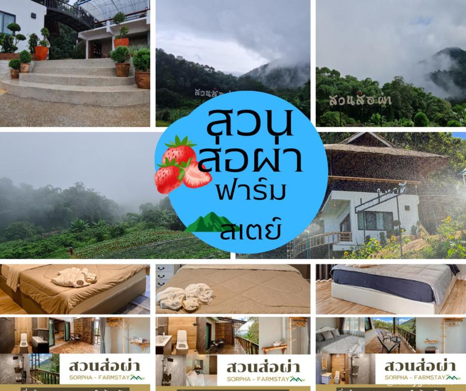 a collage of photos of a hotel with the words ub ubuntu wasu at สวนส่อผ่า&ฟาร์มสเตย์ in Mae Sai